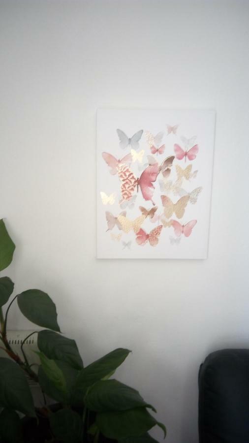 Apartment Butterfly Split - For Rest And Relaxation Zewnętrze zdjęcie